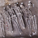 Image for article titled The Black Death is surprisingly similar to modern bacteria